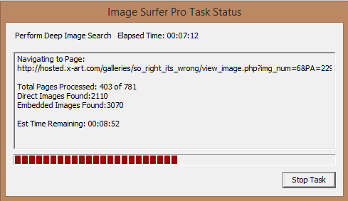 Image Surfer Pro interactive progress window showing a Directed Search in progress
