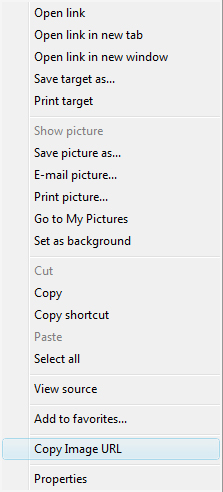 Typical Image Context Menu displayed by IE when you right click an image