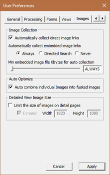 Image Surfer Pro configuration with Auto combine individual files into fusked files turned on