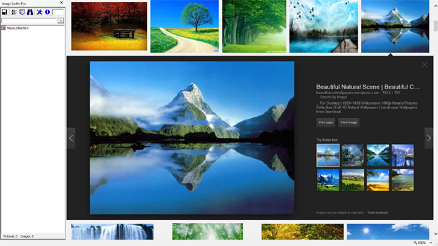 Screen capture of a goolge image search