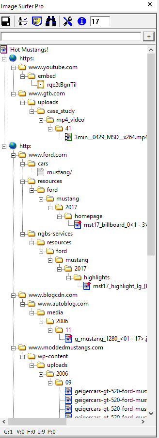 An example screen capture of Image Surfer Pro tool bar showing a sample fusker collection of Ford mustang images from various websites