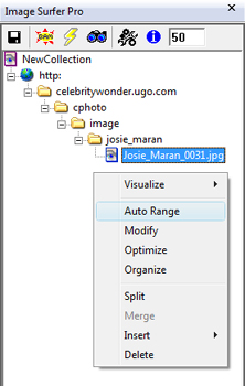 Image Surfer Pro configuration dialog with selected inputs enabled