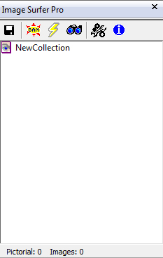 Screen shot of Image Surfer Pro Application Window