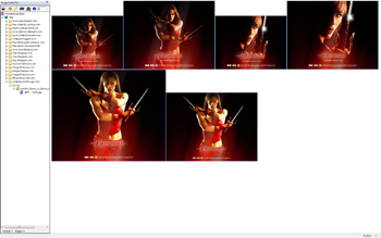 Zoomed view of the images from Celebrity Wonder after segment modification