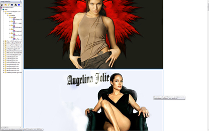 Expanded View shown when picture of Angelina Jolie is clicked