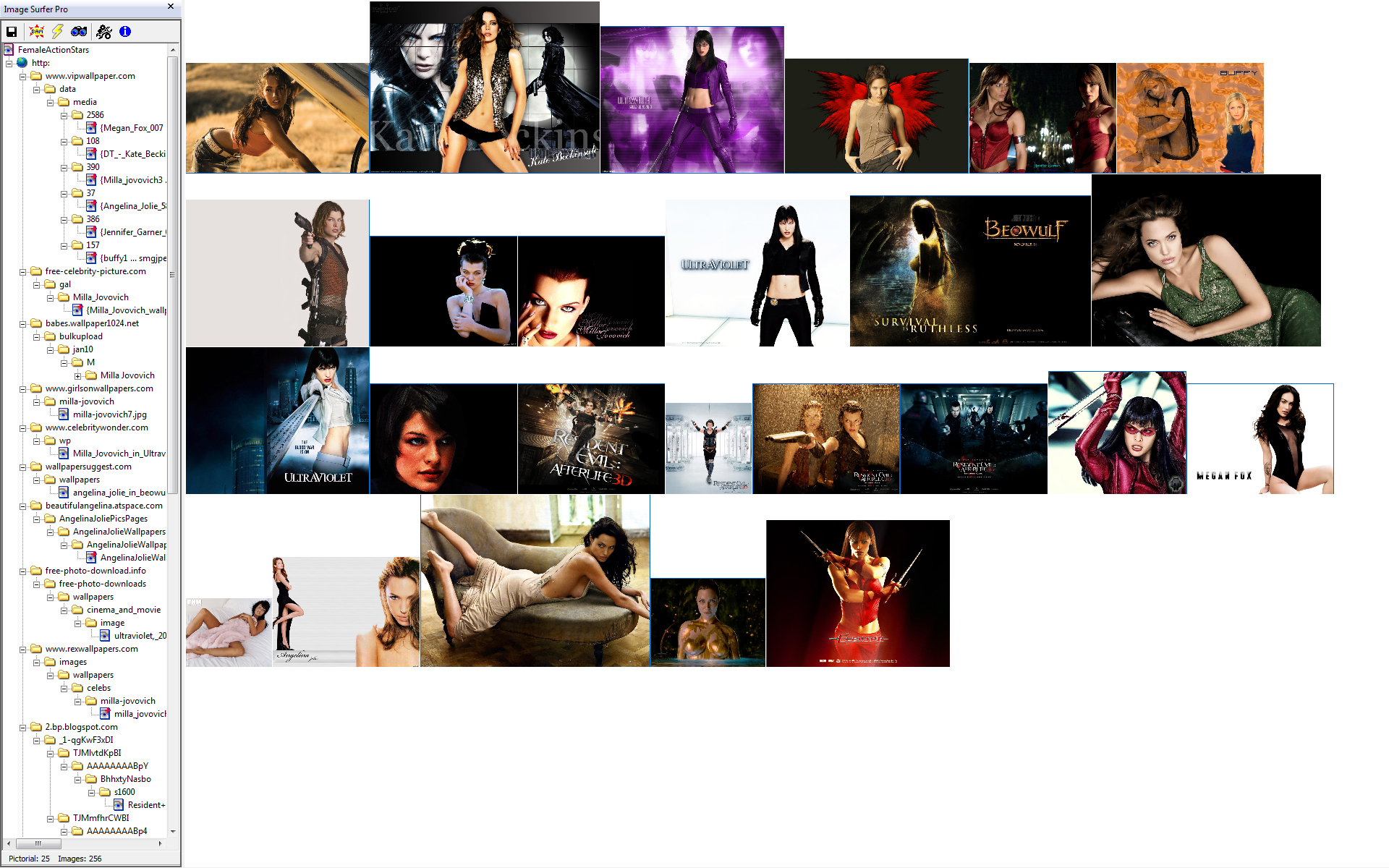 Sample screen capture of fusker collection view