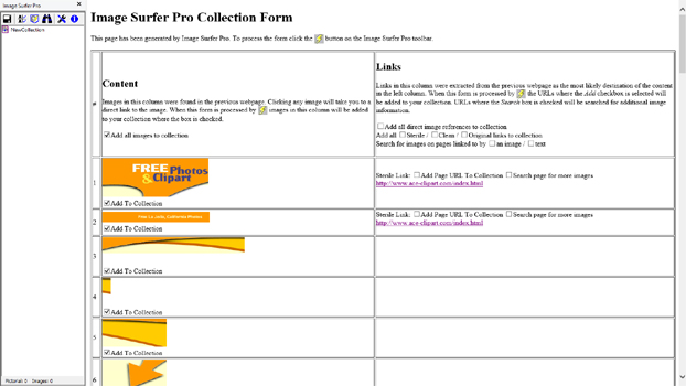 Intermediate Image Surfer Pro Form webpage