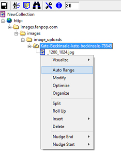 Close up of fusker tree with Split Directory selected and Auto Range highlighted on tree menu