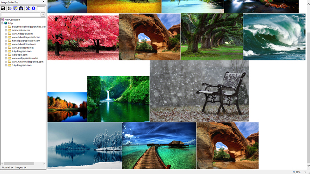 Screen capture after several images were captured from the bing search - zoomed out