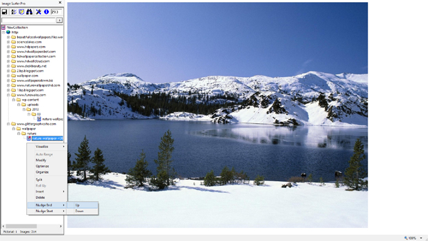 Using Nudge to see if there are more images!