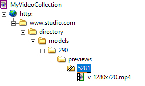 Example fusker collection tree with split directory