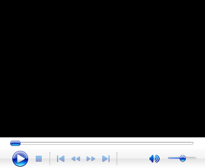 Screen capture of a IE display of missing or non Windows Media file