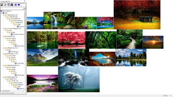 Screen capture after several images were captured from the bing search - zoomed out