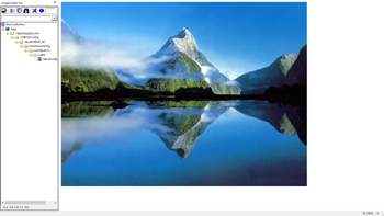 Screen Capture of image url added to fusker collection and displayed