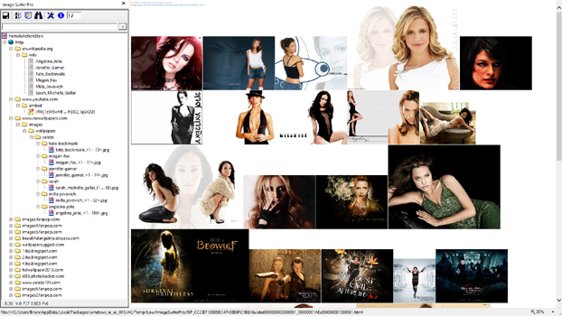 View of fusker collection with IE zoom set to 20%